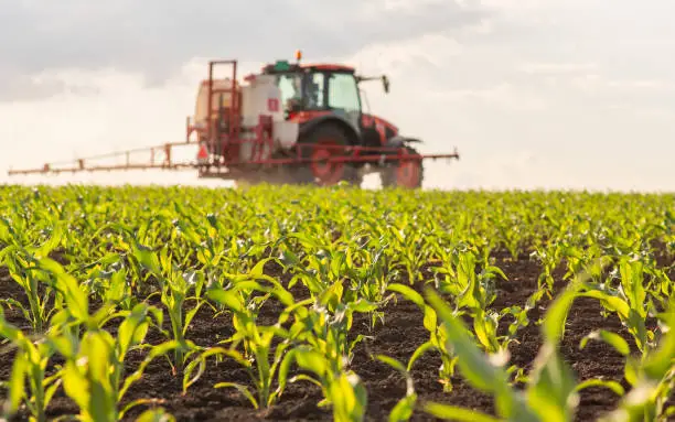 istockphoto-2190225385-612x612